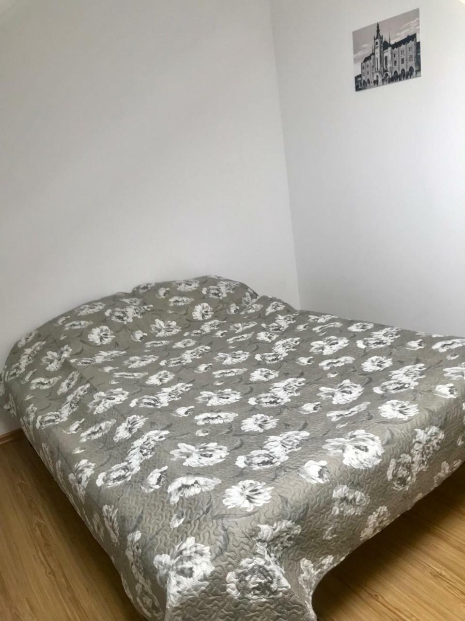 Apartment In The Centre Mukacheve